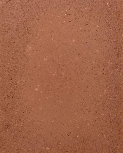 Gold fleck Clayworks clay plaster sample swatch