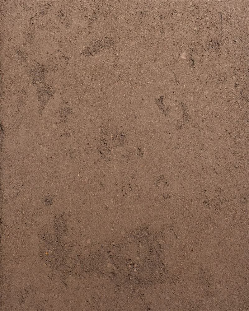 Clayworks rustic custom brown clay plaster sample swatch