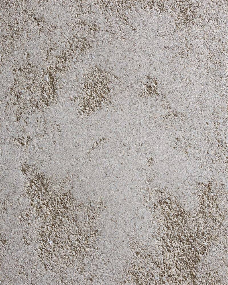 Clayworks rustic custom white clay plaster sample swatch