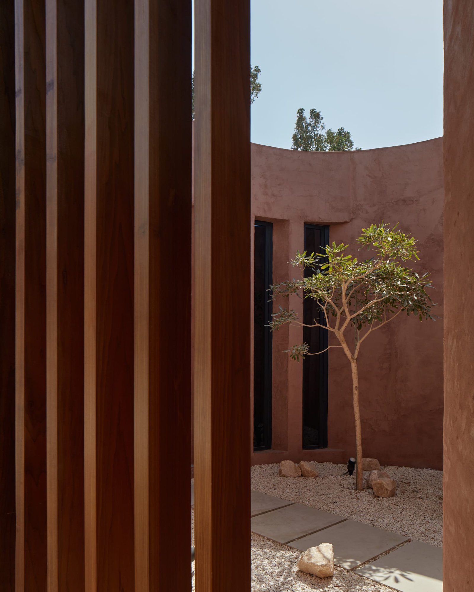 clay plaster courtyard wall with timber fins and an olive tree at Canvas Events Pavilion, Dubai, UAE.