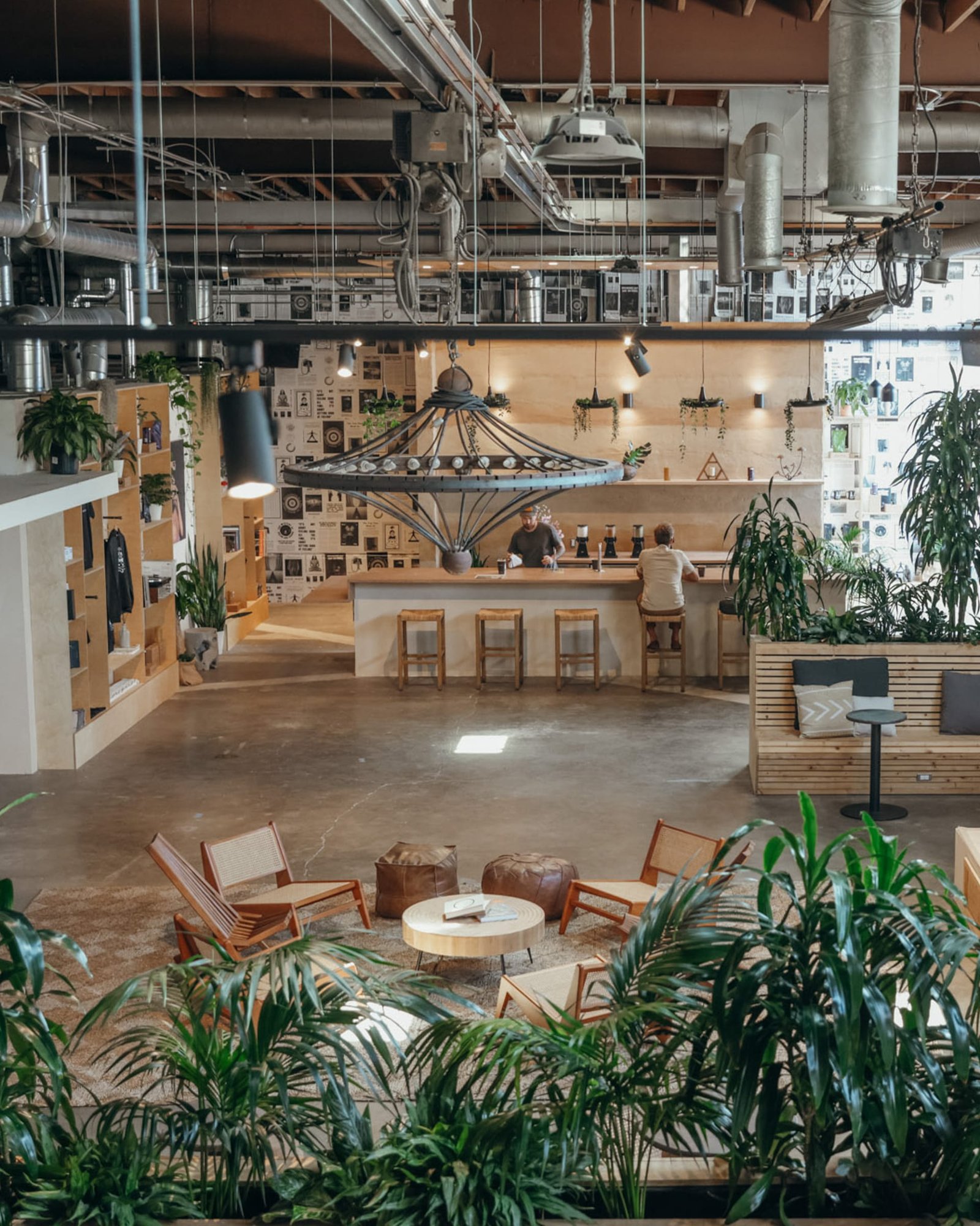 MUD\WTR Gather from above: the Rammed Earth bar and lounge seating among planting.