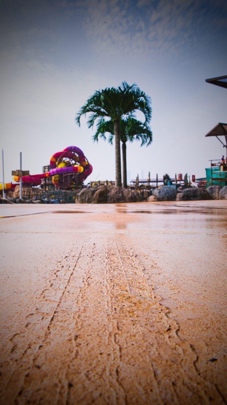 Pool deck at Meryal Waterpark in exposed-aggregate decorative concrete beside a palm.